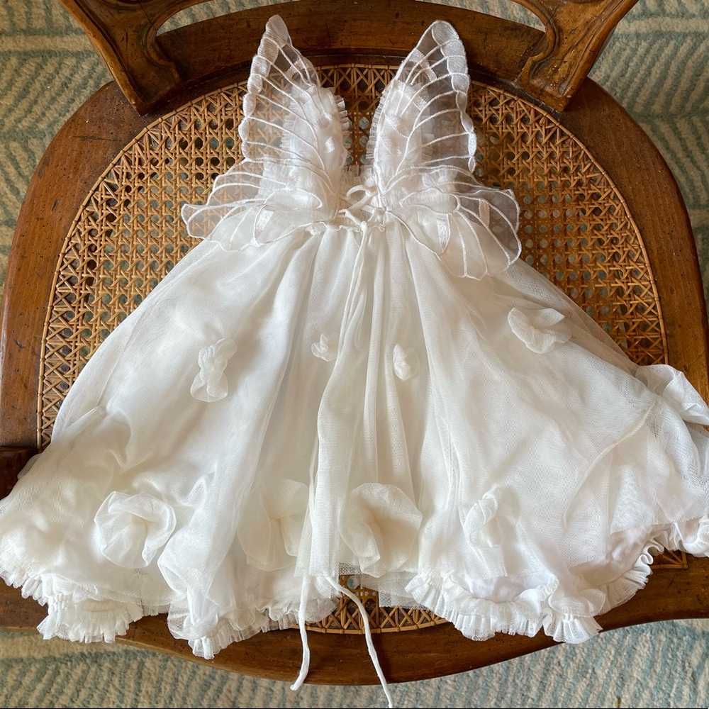 Butterfly dress